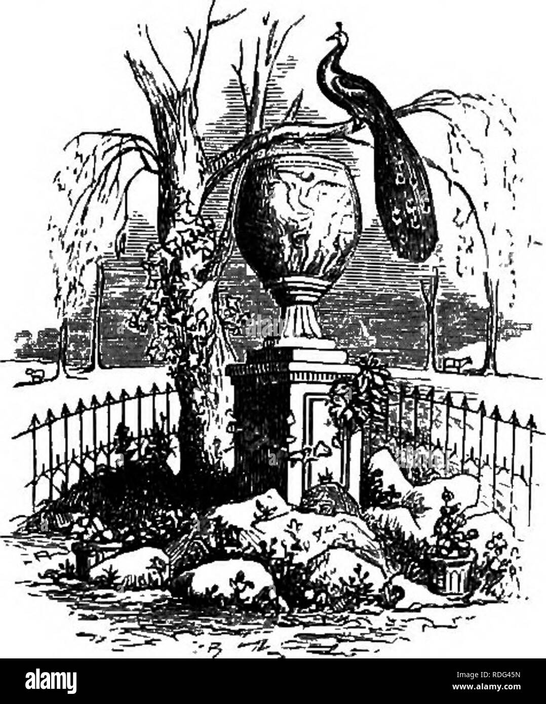 . Fleurs alpines pour jardins anglais . Les plantes de montagne. Partie I. WHA T D'un voeu. Les 73 dessins gravés à partir de prises dans différents jardins, publics et privés ; mais comme ce cours pourraient avoir une invi- dious un, j'ai préféré les prendre à partir de nos meilleurs livres sur l'Horticulture-les œuvres de nos plus hautes autorités, Loudon, Macintosh, et d'autres. À partir de ces le lecteur peut obtenir une idée de la croyance populaire sur ce sujet, et il est à peine nécessaire d'ajouter que, si de tels objets ridicules se produisent dans nos plus confiance- digne des livres, encore plus absurde, ils doivent se trouver dans de nombreux jardins. La première bea simple Banque D'Images