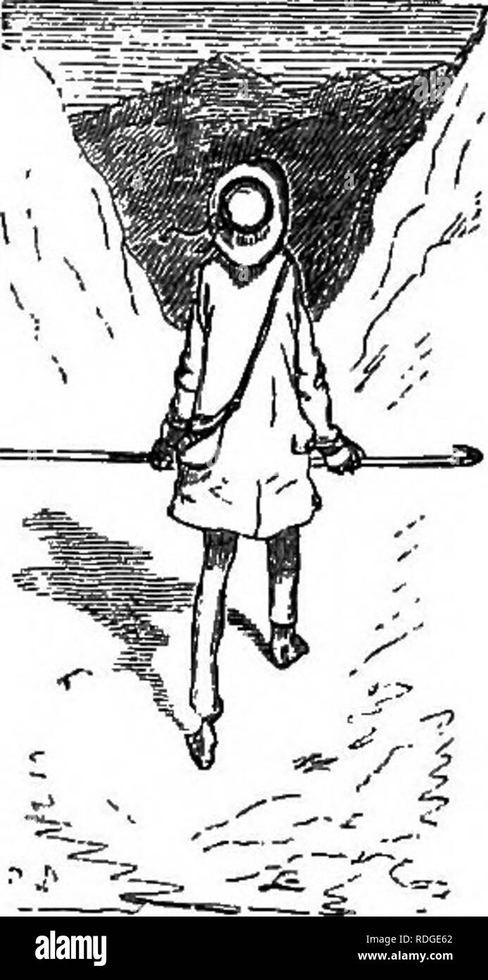 . Fleurs alpines pour jardins anglais . Les plantes de montagne. 78 fleurs des Alpes. Partie I.. Fig. S3.-" Excelsior !'' UN PETIT TOUR DANS LES ALPES. Comme ce livre niay de prouver certains utilisent comme guide, non seulement à ceux qui ont visité ou sont familiers avec les pays où abondent les plantes alpines", mais pour beaucoup de ceux qui n'ont aucune possibilité de les voir possibilités^ à l'état sauvage, ont pensé qu'il vaut la peine d'inclure quelques notes de ma première petite excursion dans un pays alpin eally. Il peut servir à donner une idée de cette région je pour ceux qui n'ont pas de meilleur moyen de devenir ac- jjuainted avec elle. Le zeste est ce Banque D'Images