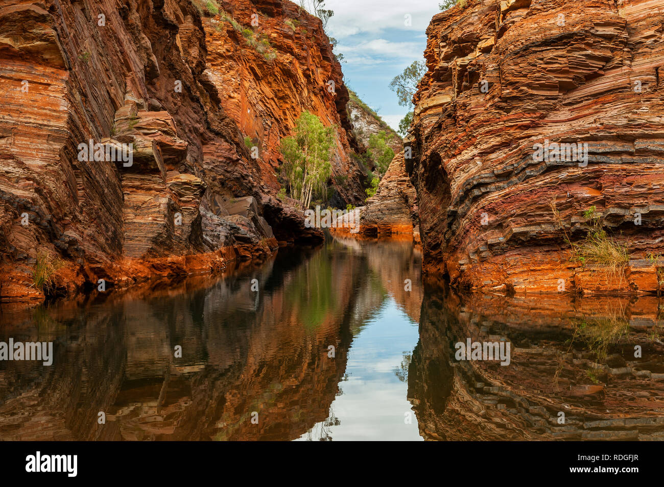 Hamersley Gorge est l'une des nombreuses gorges fascinantes dans le parc national de Karijini. Banque D'Images