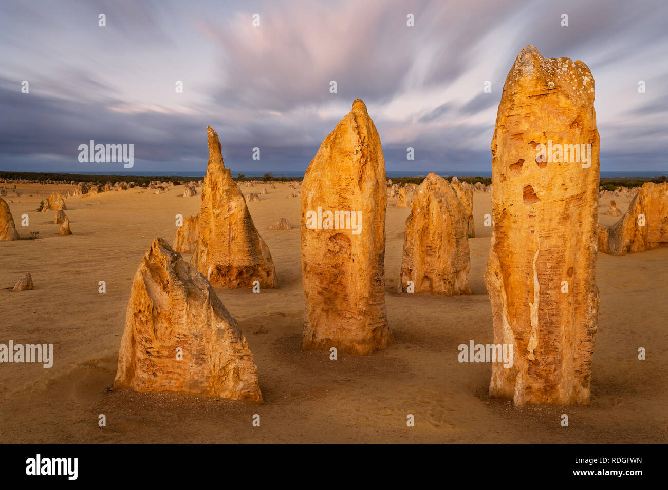 Pinacles brillant en début de matinée. Banque D'Images