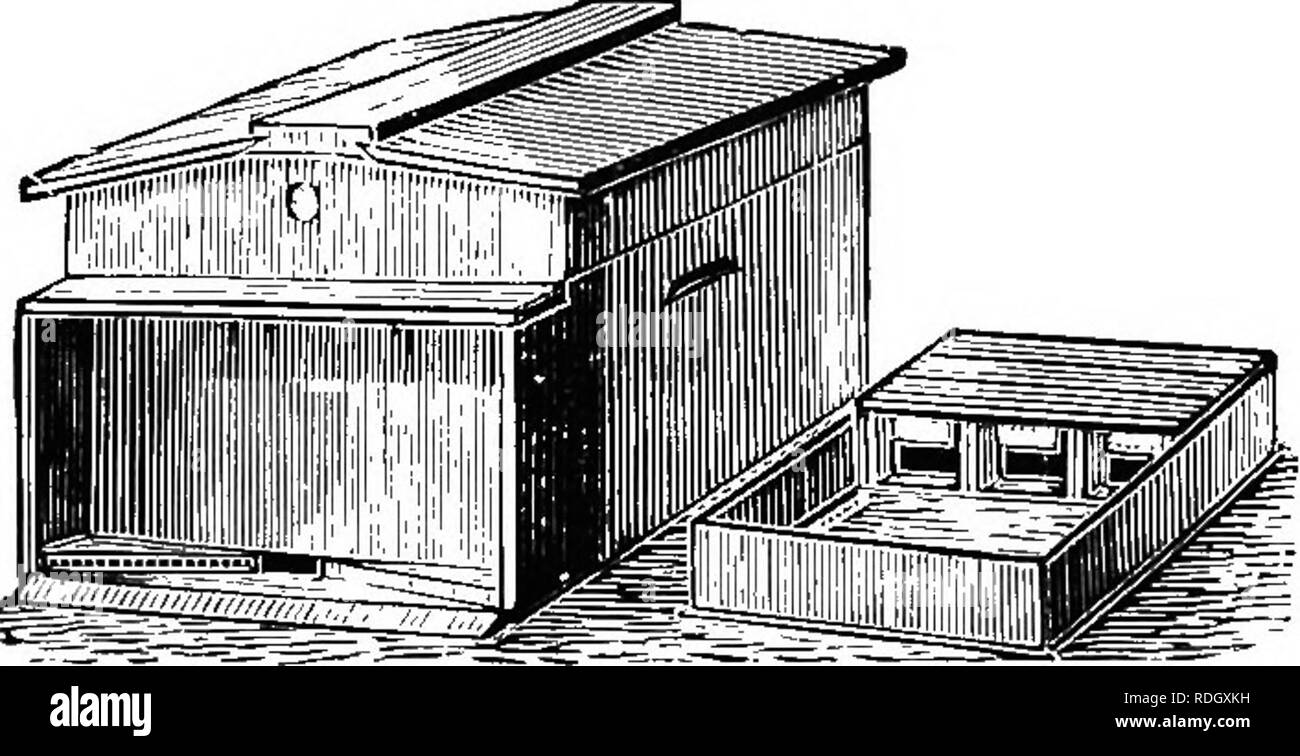 . Le guide de l'apiculteur ; ou, Manuel du rucher. Les abeilles. Principe de l'ourdissage.-de A. I. Co. racine des deux côtés rabotés, et peint en blanc à l'extérieur. En rendant la ruche clou le cœur de l'administration, afin de prévenir la déformation. De comprendre pourquoi voir Fig. 85. Figure 84 Fig. 86.. Otie étages Wwe Langstroth,-à partir de A. I. Co. racine représente une Ivangstroth ruche. Comme nous le verrons, l'a un portique, et un bas-bord solidement cloués à la ruche. Bien que M. Désiré Langstroth ces deux fonctions, et maintenant, beaucoup de gens sont comme d'esprit, beaucoup d'autres fonctionnalités omettez.. Veuillez noter que ces Banque D'Images
