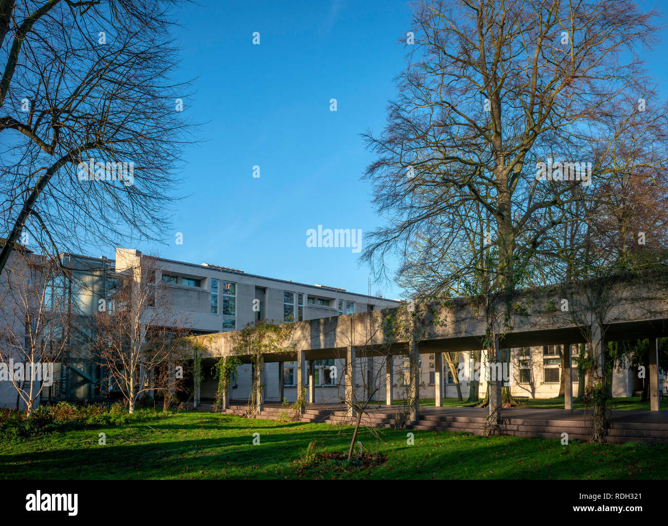 Les jardins et les bâtiments de la femme seule Murray Edwards College, Université de Cambridge, Royaume-Uni Banque D'Images