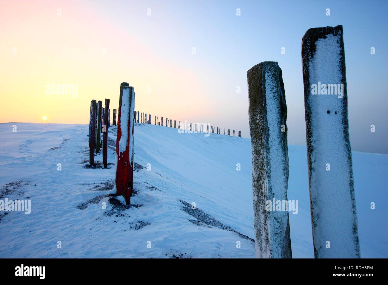 'Totems' monument art installation créée à partir de plus de 100 traverses de chemin de fer traitées par le peintre et sculpteur Basque Agustín Banque D'Images