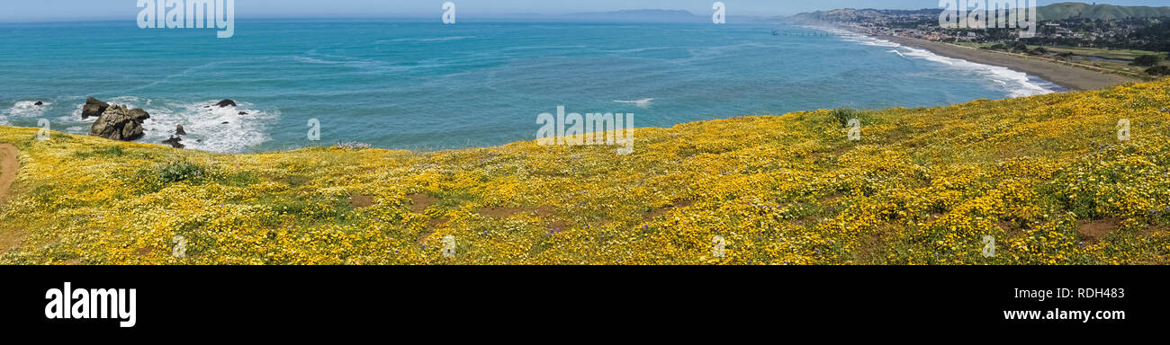 Superbloom Point à Mori, Pacifica, baie de San Francisco, Californie Banque D'Images
