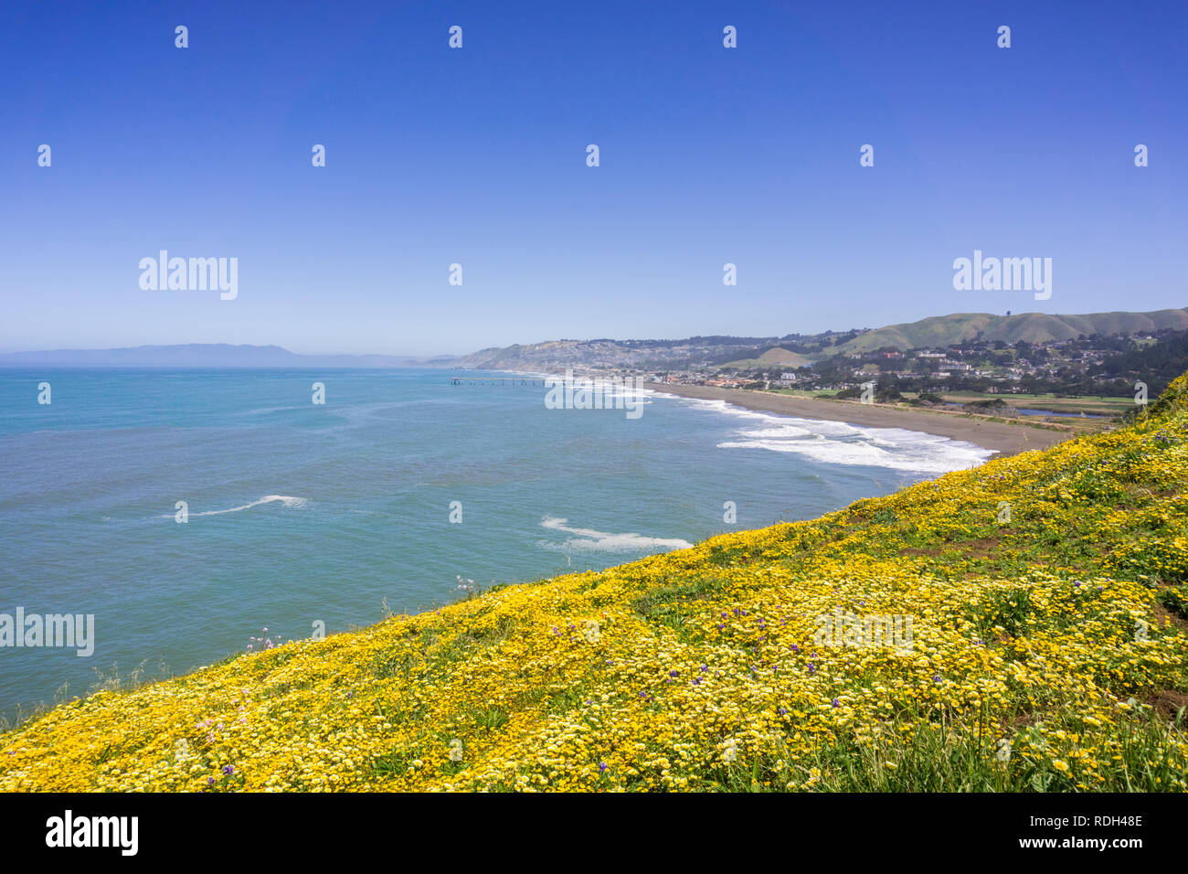 Superbloom Point à Mori, Pacifica, baie de San Francisco, Californie Banque D'Images