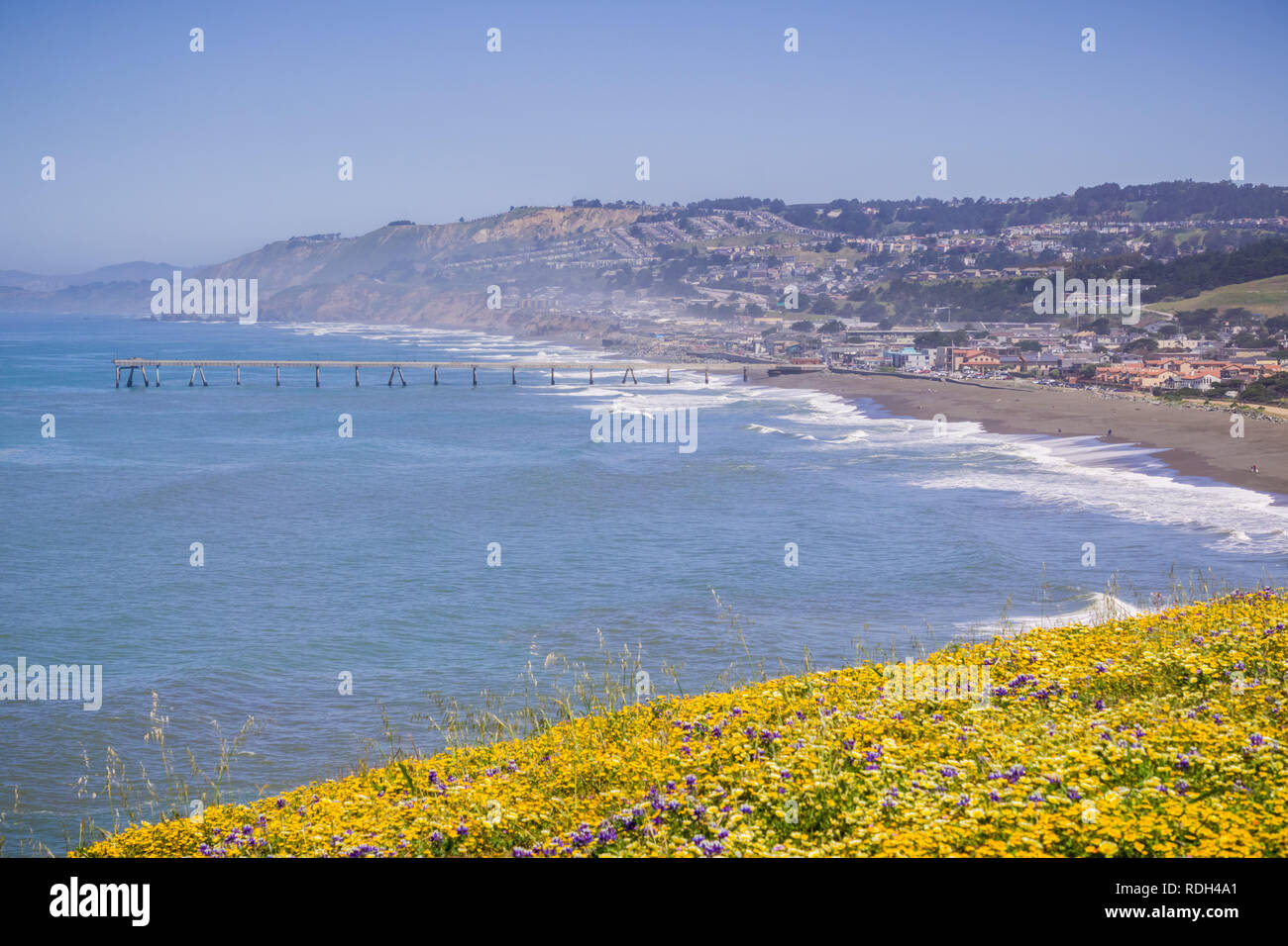 Superbloom Point à Mori, Pacifica, baie de San Francisco, Californie Banque D'Images