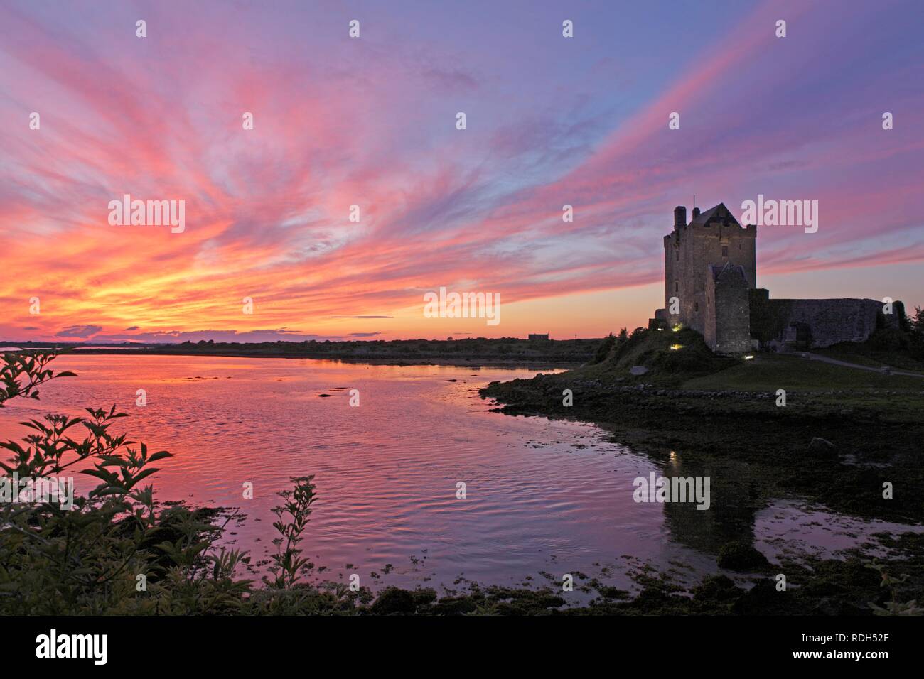 Dunguaire Castle, Kinvara, comté de Galway, Irlande, Europe Banque D'Images