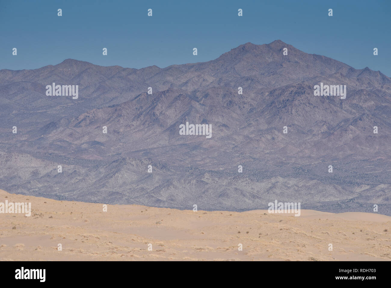 Dunes de Kelso, réserve nationale de Mojave, désert de Mojave, Californie Banque D'Images