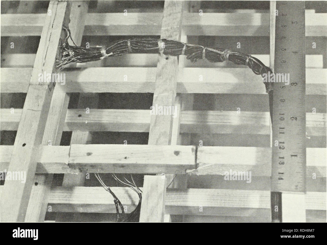 . Chauffage efficace de carburant avant de propager les flammes. Des tests incendie ; la propagation des flammes. Figure 3.--instrumentés longitudinaux et les membres de carburant qu'ils apparaissent dans le lit de combustible. La propagation du feu est à partir de la gauche. moins de 0,6 cm. avant de venir par l'arrière ou en dessous du membre de carburant. Ainsi, la jonction et le conduit immédiatement à côté se trouvent dans une surface isotherme pour minimiser le transfert de chaleur ou de la jonction le long du conduit. Le champ de température est capturé par des mesures simultanées au moment de l'allumage. (Le temps de cycle est très court par rapport à l'heure de l'événement.) S Banque D'Images