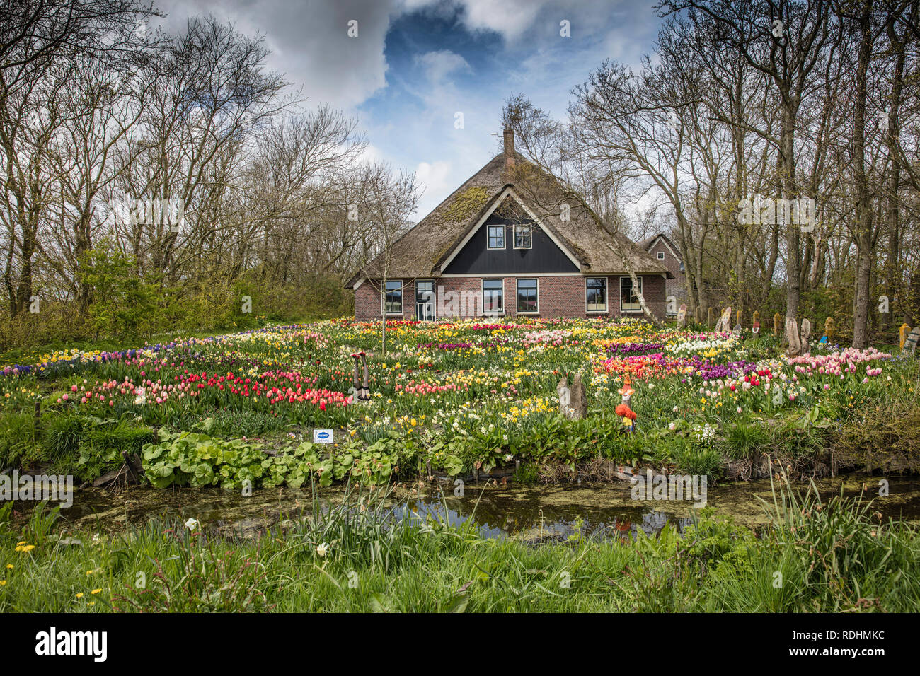 Ferme typique avec jardin fleuri. Sint Maartensvlotbrug, aux Pays-Bas. Banque D'Images