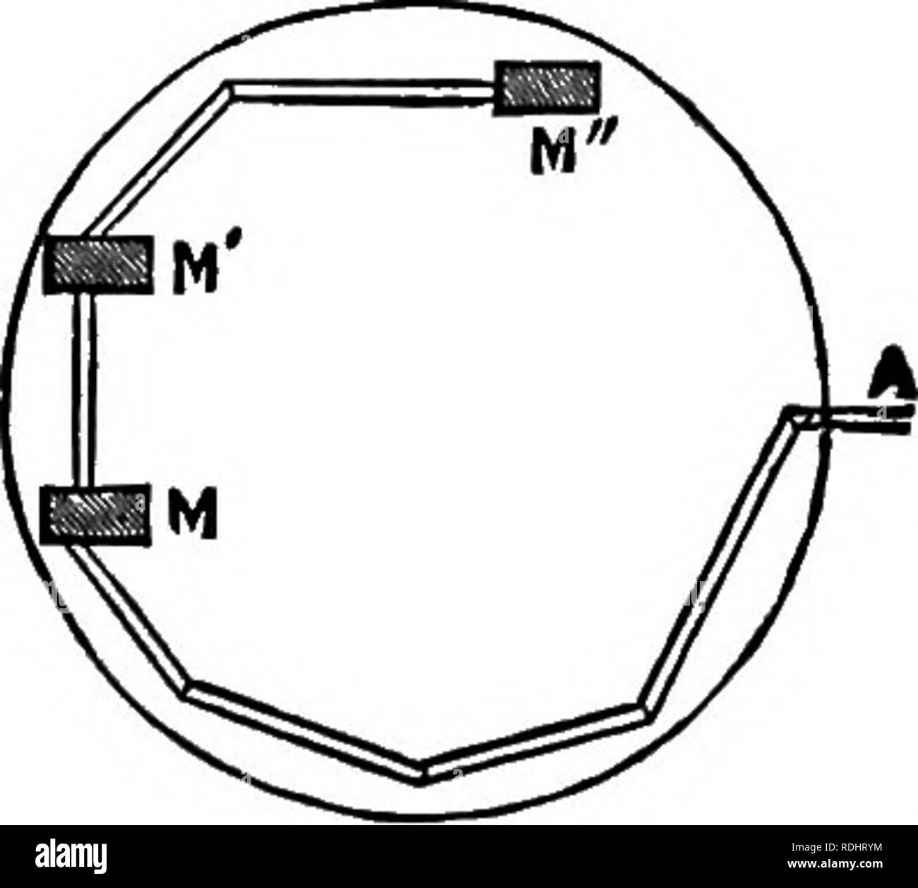 . Fourmis, abeilles, guêpes et. Un registre d'observations sur les habitudes des Hyménoptères sociaux. Les fourmis ; des abeilles ; les guêpes. 270 RÉTICENCE DE AKTS tournant comme dans l'expérience précédente, dix fourmis, l'une après l'autre, ont continué leur cours, venant ainsi hors de la à la fin hox le plus éloigné du nid. Lorsque dix fourmis avaient successivement, dans ces circonstances, est mal passé, de faire l'expérience terminée, j'ai essayé à nouveau, tout étant le même, sauf qu'il n'était pas fort. Dans ces circonstances, cinq fourmis, l'un après l'autre, tournée directement vers la table a été tourné. À partir de ces expériences, par conséquent, il Banque D'Images
