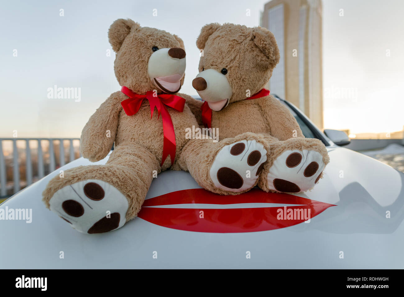 Couple d'ours en peluche assis sur la voiture, isolés, cadeaux Saint Valentin Banque D'Images