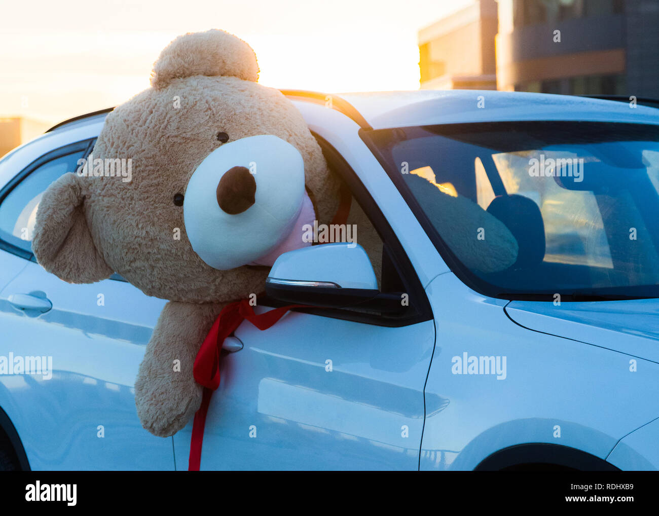 Ours en peluche géant avec rubans rouges assis sur le capot de la voiture à  l'extérieur. L'espace pour le texte. L'amour, la Saint-Valentin concept  Photo Stock - Alamy