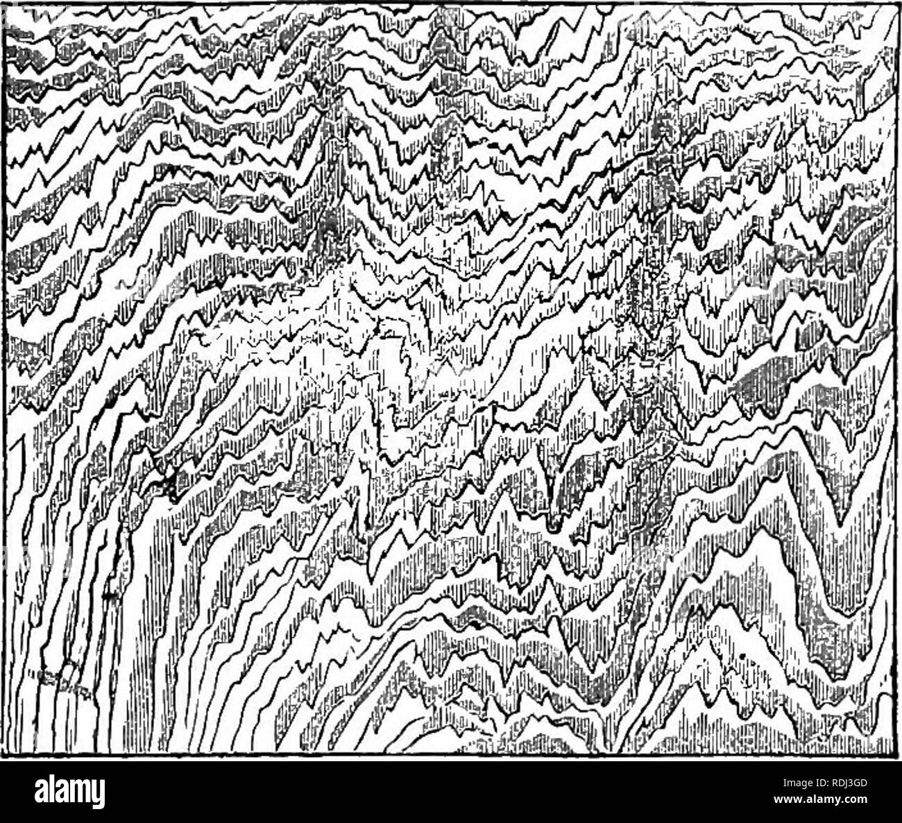. Des soirées au microscope : ou, de recherches parmi les organes et minuter formes de vie animale. Microscopes microscopie microscopie médicale ; ;. 48 SOIRÉES À L'MICEOSCOPE. par n'importe quelle quantité de polissage, il est évident que leur présence dépend de quelque chose de particulier dans le tex- ture de cette substance, et non pas sur de simples super- arrangement officiel. Lorsqu'un morceau de nacre est soigneusement examiné, il devient évident que les lignes sont pro- duits par le recadrage des limbes de shell, situé plus ou moins obliquement par rapport à la plan de la surface. Plus le pendage de ces couches, plus wil Banque D'Images