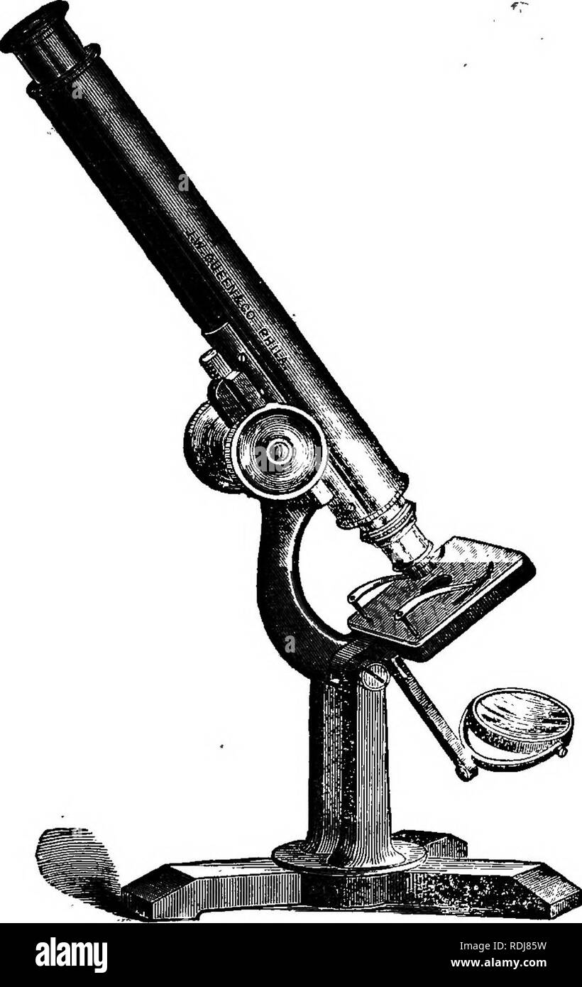 . Les éléments de botanique embrassant organography, histologie, physiologie végétale, botanique systématique et botanique économique ... ainsi qu'un glossaire complet de termes botaniques. La botanique. 3065. [Un tiers taille réelle^ LA COUPE CI-DESSUS REPRÉSENTE LE MICROSCOPE AMATEUR. JAMES N, Reine &AMP ; CO., 934, rue Chestnut. PHIXABEtPHXA.. Prix avec un (No. 2) oculaire, et l'un un demi pouce de l'objectif (c'est divisible, donnant des pouvoirs 50 et 110 diamètres)^ dans caisse en noyer avec poignée et serrure, ;23,0 U. La même que ci-dessus, .de plus d'un sixième objectif, donnant un éventail de pouvoirs jusqu'à 360 d Banque D'Images