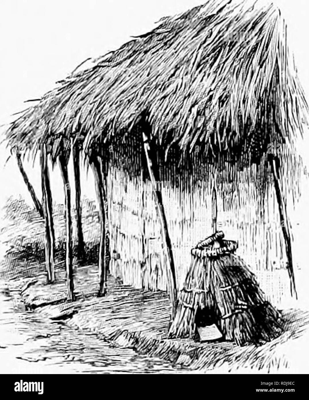 . L'homme et la bête dans l'Est de l'Ethiopie : à partir d'observations faites en Afrique de l'Est, l'Ouganda et le Soudan . Histoire naturelle ; les peuples autochtones ; de l'Ethnologie. 67 L'OUGANDA, appuyé contre le tronc de l'arbre. Dans cette attitude l'animal ressemble au tronc fin d'une branche cassée. L'animal est représenté dans cette position dans l'excellent groupe peluche représentant scaly ant-eaters ou Pangolins au Musée d'Histoire Naturelle, Loudon.. Un Fetisli ou Esprit Cabane-refuge. La nuit, la poterie sert pour une porte. F 2. Veuillez noter que ces images sont extraites de la page numérisée des images qui peuvent avoir être Banque D'Images