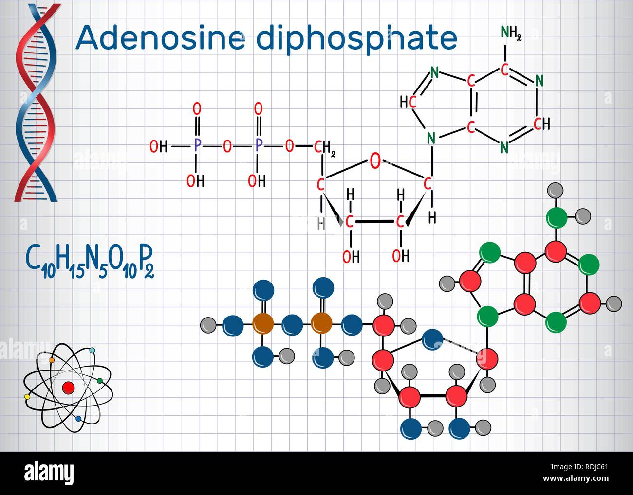 L'adénosine diphosphate (ADP) molécule , est un composé organique présent dans le métabolisme et le transfert d'énergie dans les cellules vivantes . Feuille de papier dans une cag Illustration de Vecteur