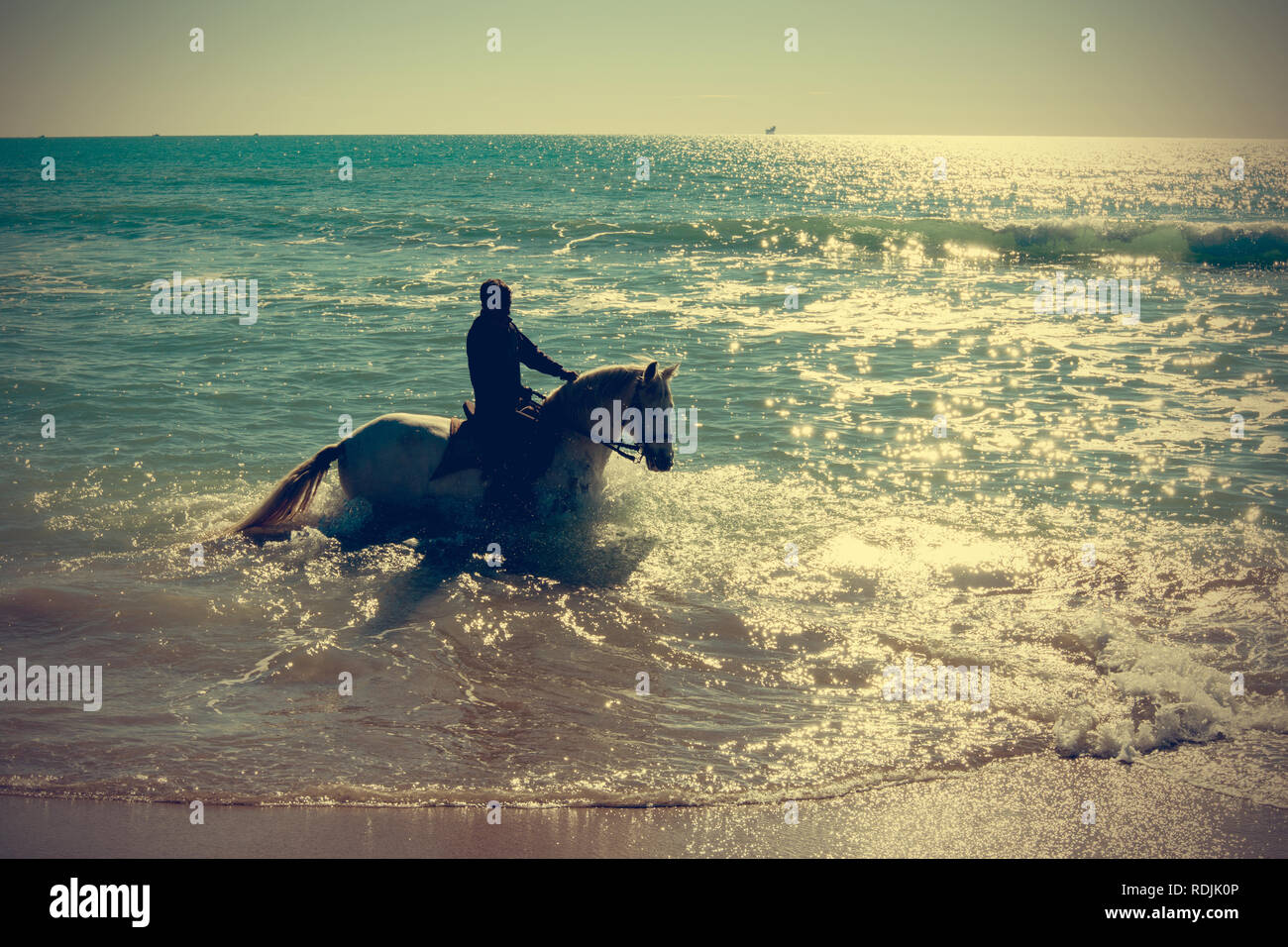 Jeune Homme Monter Un Cheval Blanc Sur La Plage Banque D