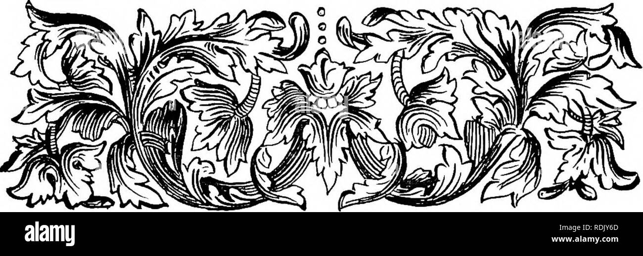 . Kalm's fait de sa visite en Angleterre : sur son chemin en Amérique en 1748 . L'histoire naturelle. AMERICAN NOTES prises à Londres. [T. I. p. 384.J af Vax et les scories Porss. La cire à une sorte de douce Willow. Dans de nombreux endroits où il y a des morasses ou motifs humides en Amérique du Nord il n'y pousse en abondance un peu de bush, qui est appelée par les botanistes Myrica foliis lanceolatis, subserratis fruciu baccato. Linn. Hort. Falaise. 455. 295 Upsala. Ce doux Myrica ou saule, Pors, au lieu d'autres fruits baies a qui ont à l'extérieur une sorte de cire, qui est utilisé comme une bougie, til 1JUS. Ils prennent l'une des baies Banque D'Images
