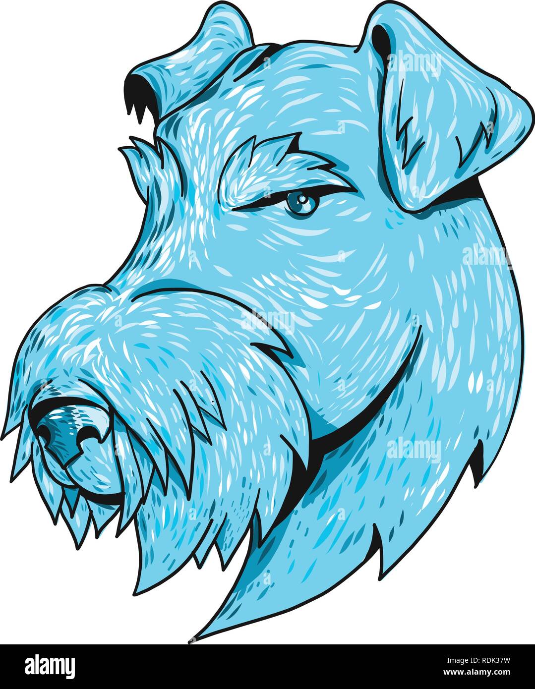 Croquis dessin illustration style général d'un Airedale Terrier, Terrier ou Terrier au bord de Bingley, le plus grand de tous les terriers aussi connu sous le ÒKin Illustration de Vecteur
