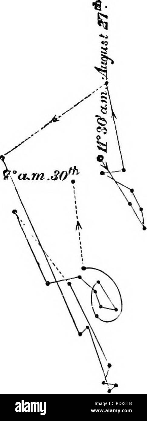 . La puissance de mouvement dans les plantes. Les plantes, la botanique. Ohap. C. 5a&gt;INASTY ET HYPONASTY. 277' Fig. 124. B. A. /'. Veuillez noter que ces images sont extraites de la page numérisée des images qui peuvent avoir été retouchées numériquement pour plus de lisibilité - coloration et l'aspect de ces illustrations ne peut pas parfaitement ressembler à l'œuvre originale.. Darwin, Charles, 1809-1882 ; Darwin, Francis, Sir, 1848-1925. New York, Appleton Banque D'Images