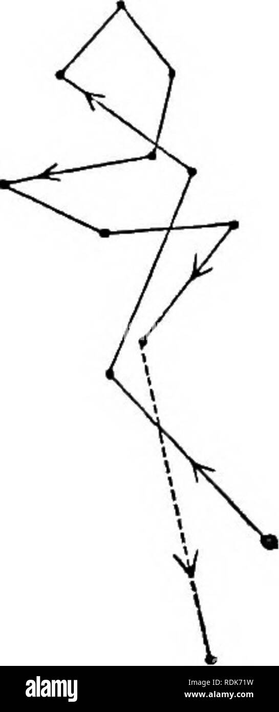 . La puissance de mouvement dans les plantes. Les plantes, la botanique. Chapitre 1 ASl'AEAGUS. 61 la même direction générale, mais sous une forme légèrement zigzag, jusqu'à ce qu'il est devenu l'endroit. Le matin suivant il changcci ses cours complètement. Il ne peut donc pas être un doute que la plumule, circumnutates -tout en enfoui sous le sol, autant que la pression de la terre qui les entoure. La surface du sol dans le pot était maintenant recouverte d'une fine couche de sable argileux très fin, qui a été gardé humide ; et après le semis effilée avait augmenté de quelques dixièmes de un pouce de hauteur, chacun a été foun Banque D'Images