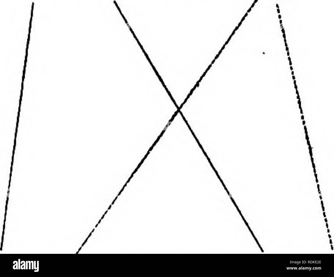 . La base physique de l'hérédité . L'hérédité. CKOSSULARIATA c5 CL O ^ ^® CELLULES CERM(g) (T). Veuillez noter que ces images sont extraites de la page numérisée des images qui peuvent avoir été retouchées numériquement pour plus de lisibilité - coloration et l'aspect de ces illustrations ne peut pas parfaitement ressembler à l'œuvre originale.. Morgan, Thomas Hunt, 1866-1945. Philadelphia : Lippincott Banque D'Images