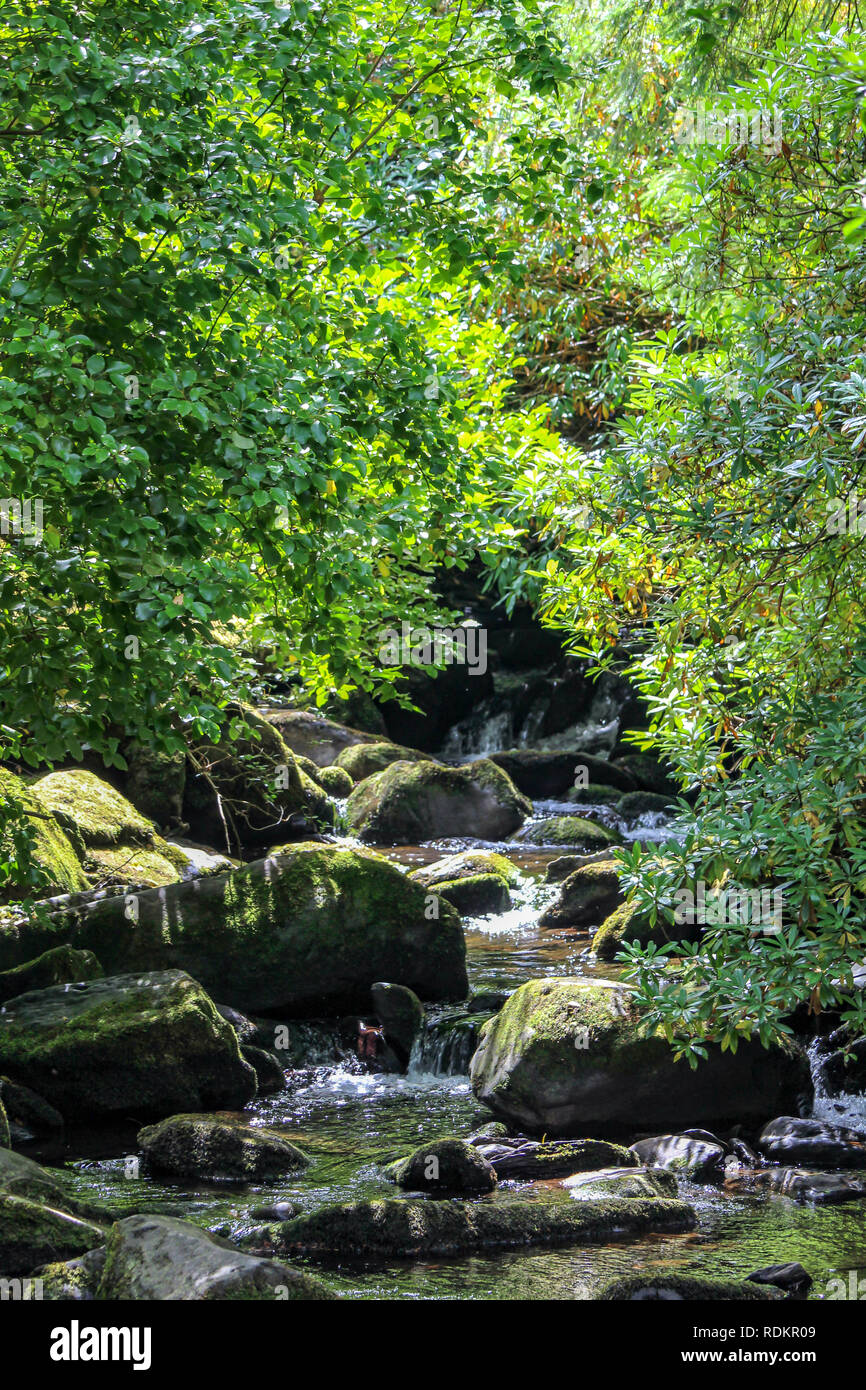 Chutes de Torc, le Parc National de Killarney, Irlande Banque D'Images