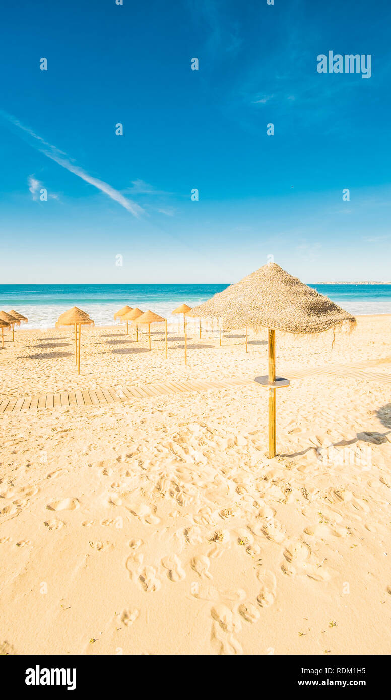 La feuille de palmier parasols sur la plage vide Banque D'Images