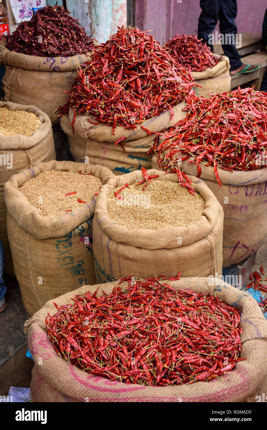 Les piments en vente, Devaraja market, Mysore. Mysuru, Karnataka, Inde Banque D'Images