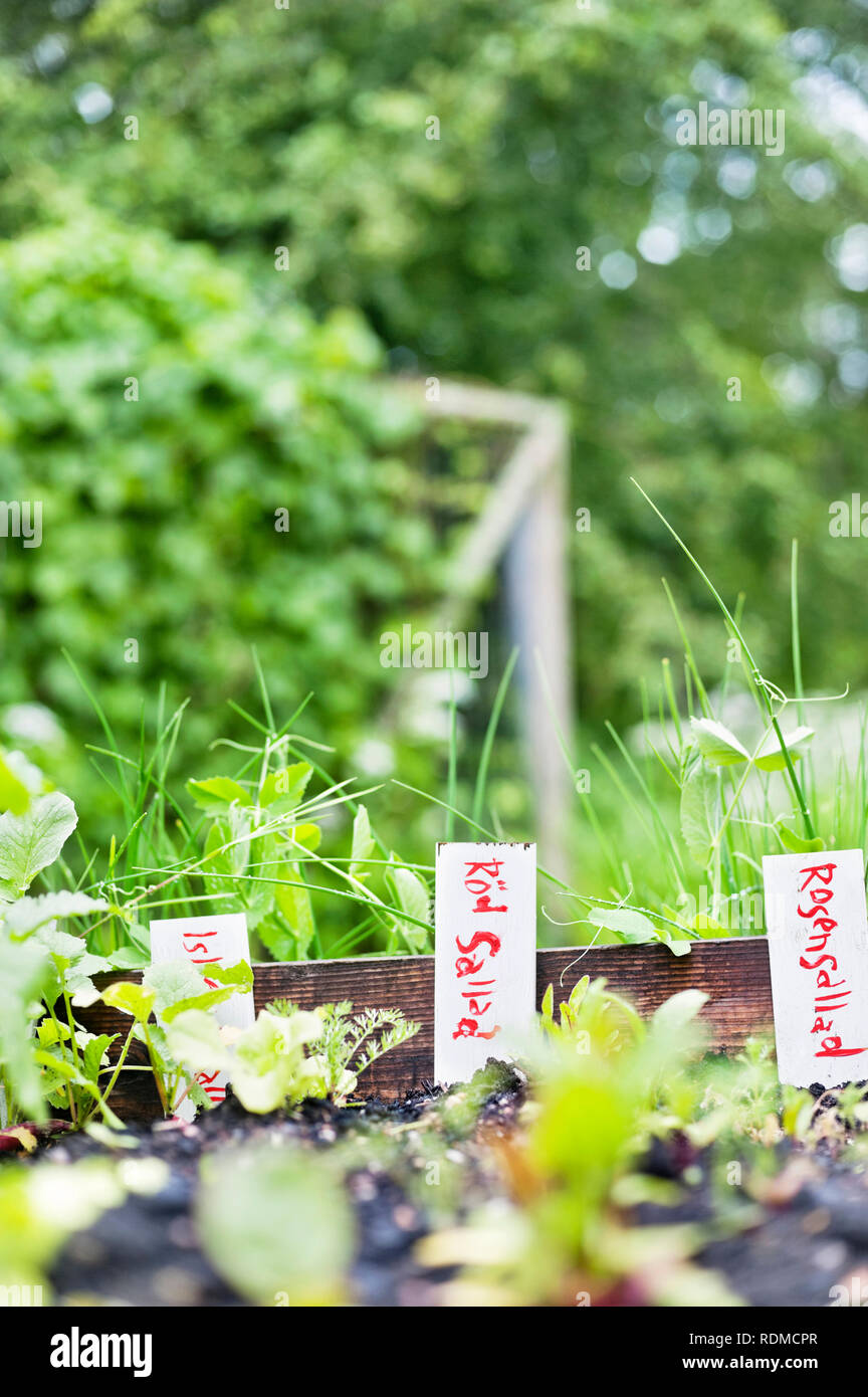 Étiquettes dans jardin Banque D'Images