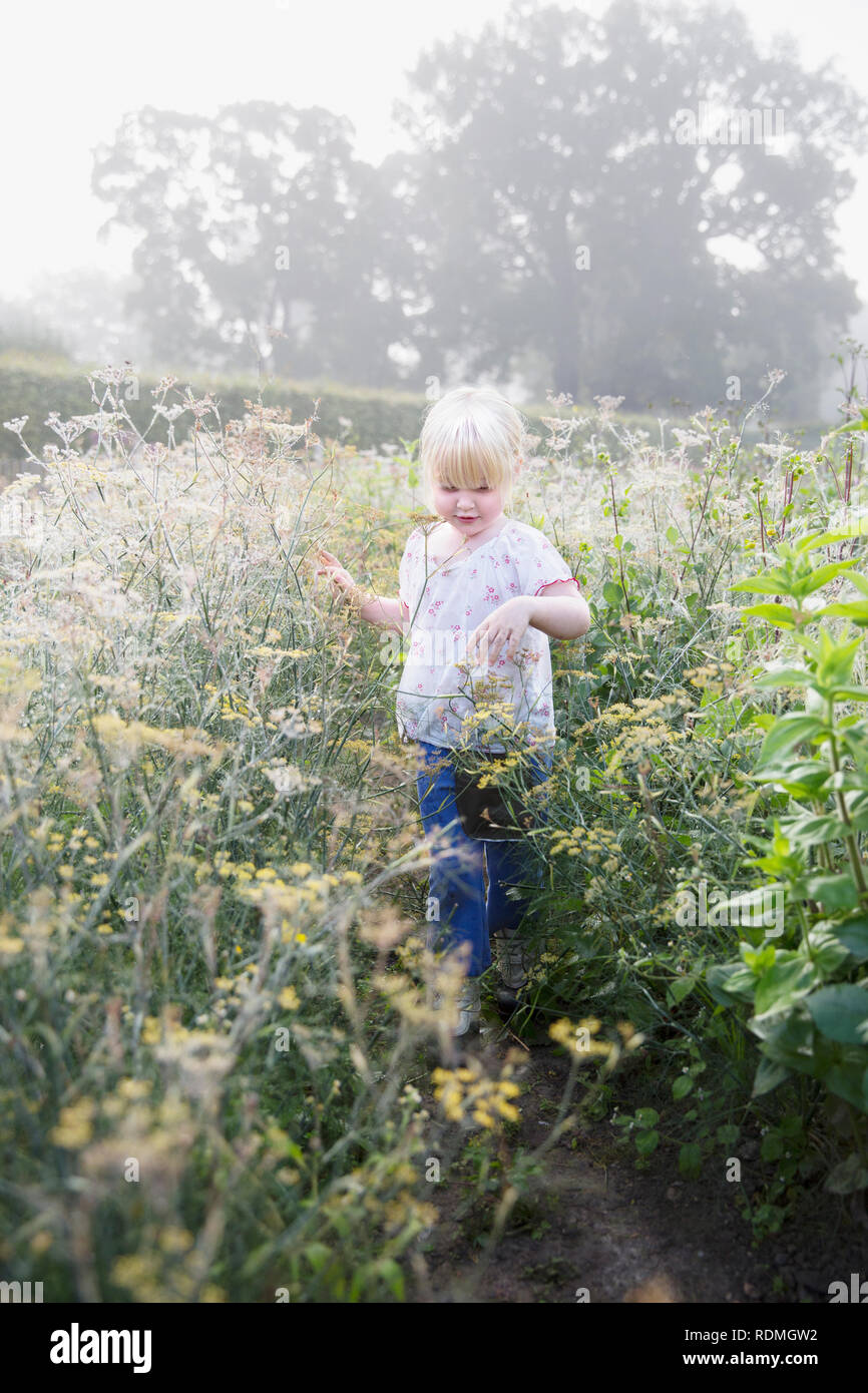 Cute little girl running in field Banque D'Images