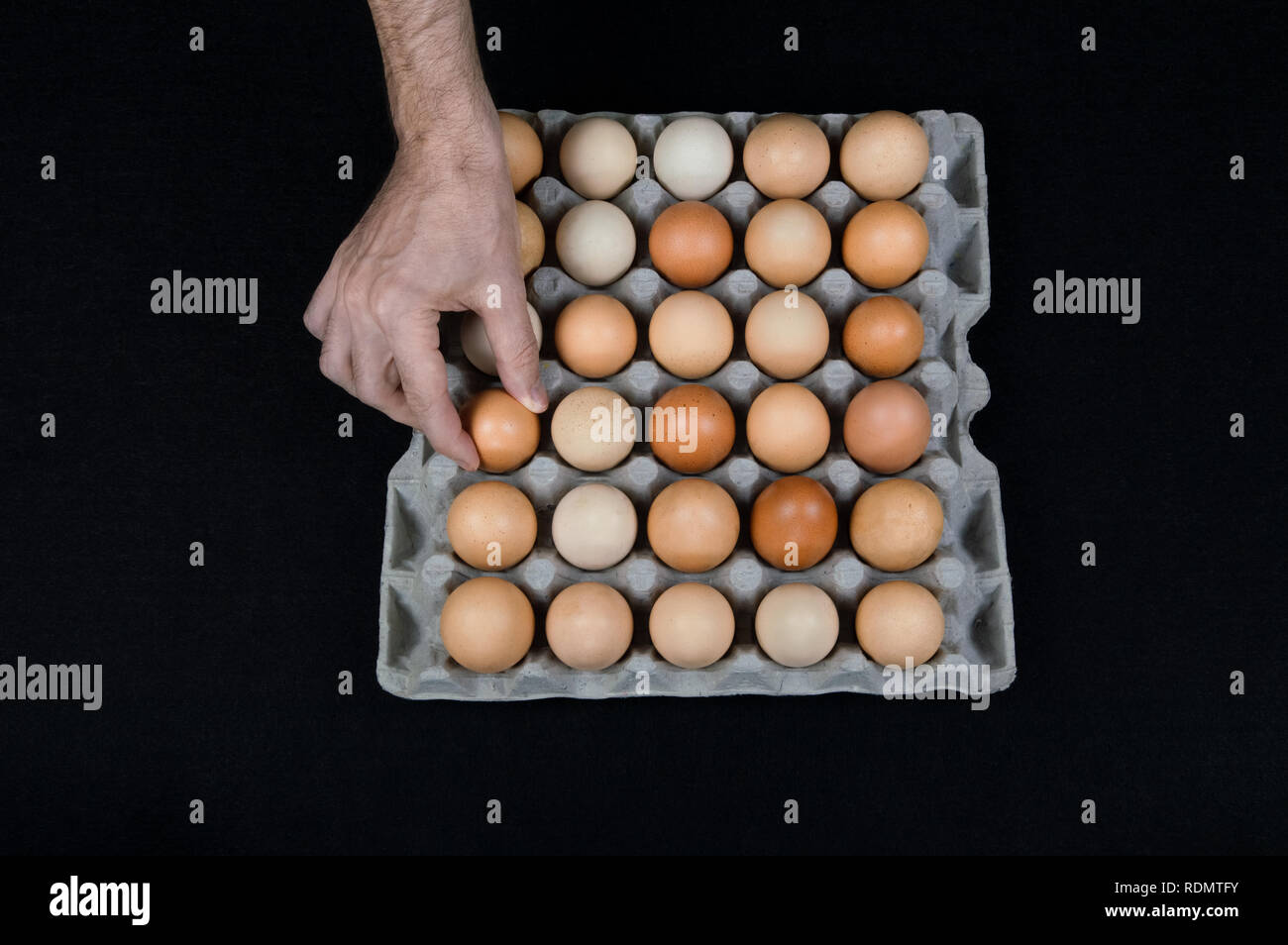 La main des hommes en tenant un œuf œuf de carton fort sur fond de feutre noir. Banque D'Images