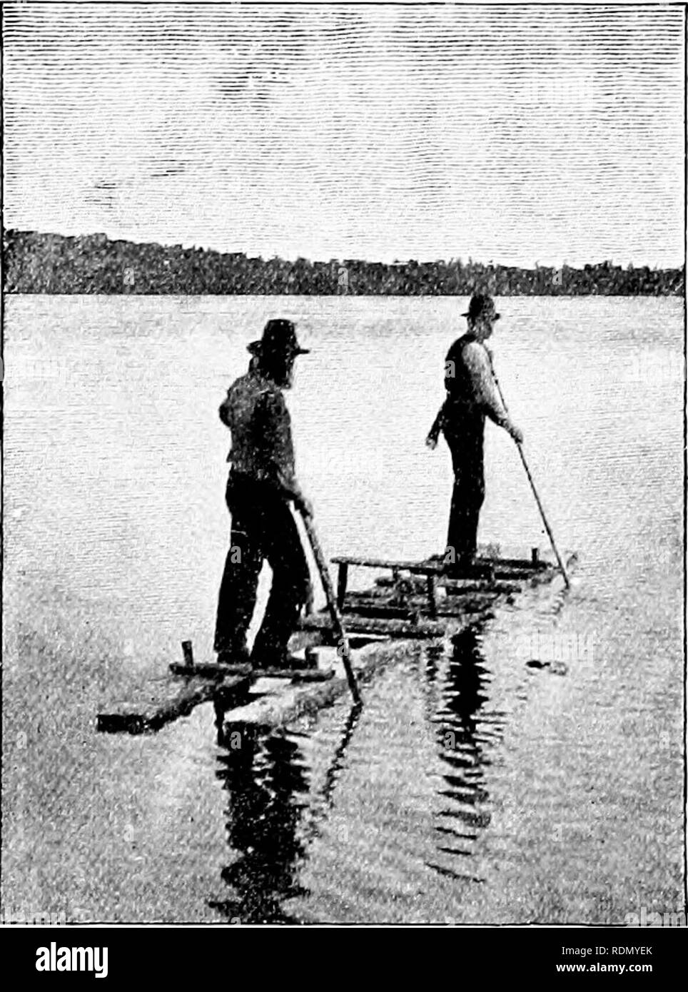 . La chasse. Jeu et jeu-oiseaux ; la chasse. Sfort dans une nature sauvage intacte A merican 10 livres grand fusil de calibre 45 de façon continue. Il avait de fontaine et les perdrix chaque fois qu'il voulait qu'ils mangent, et de nombreux aliments industrialisés civile d'ailleurs, car nous avions un excellent cuisinier. Le deuxième jour après l'on s'est levé dans le. Sur un radeau dans Louis Lac. montagne Braithwaite et j'ai commencé sur une pute, tandis que le garçon, qui n'était pas égal à un voyage si grave, est resté au camp pour renforcer le cuisinier comme accueil- garde. Le guide et moi-même au début de la journée a vu un grand tas de caribou sur 153. Veuillez noter que ces images sont ex Banque D'Images