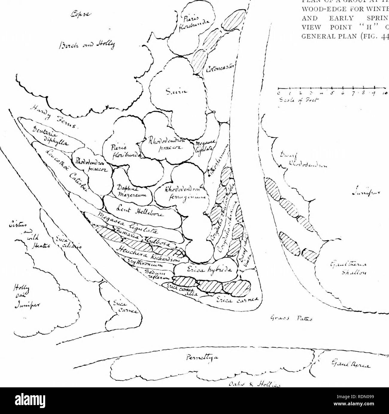 . Jardins pour les petites maisons de campagne. Les jardins. Un jardin dans l'ouest de Surrey. 43 FIG. 52.-PLAN DE PLANTATION D'UN GROUPE À L'AVANT-GARDE LE BOIS L'HIVER ET AU DÉBUT DU PRINTEMPS. POINT DE VUE "11" SUR LES PL.VN (fIG. 44).. qui est soutenue par plus de bois à distance. Cette grande muraille verte ? ; (Fig. 50) est le plus précieux de l'endroit, la distance bleuâtre, donnant un sentiment d'une certaine mesure et l'un des talus boisés de délimitation et de sécurité, alors qu'en temps brumeux légèrement les illusions de distance et de mystère sont sans fin et plein de charme. Le plus proche de la pelouse sont des groupes de rhododendron, très soigneusement choisi pour la couleur, Banque D'Images