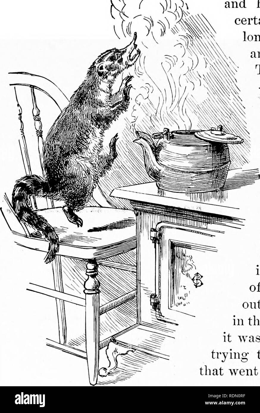 Quatre Pieds Deux Pieds Et Pas De Pieds Ou Poilu Et Les Animaux Domestiques Et Comment Ils Vivent Le Comportement Animal 192 L Homme Ne Naughty Nasna Lorsqu Il Se Penche Sur