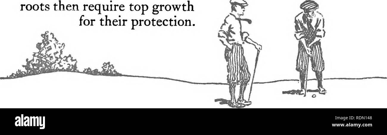 . L'ensemencement et de soins de golf. Parcours de golf ; les herbes. ^ 0. M. Scott &AMP ; Sons Co., Marysville, Ohio Blue-grass, qui sera probablement utilisé sur le fairway, contrairement à d'autres herbes du nord, est un lime-amant. La chaux ne doit pas être utilisé sur le putting-green une:s les herbes préférable, les portiques et fétuque, sont indifférents, alors que certaines variétés indésirables, telles que le trèfle blanc, se développer sur des sols calcaires. Un désavantage considérable dans l'utilisation de la chaux est sa stimulation de la croissance des mauvaises herbes. L'ENTRETIEN DU COURS Z' il plus efficace construit suppose bien sûr un soin constant pour son entretien. Banque D'Images