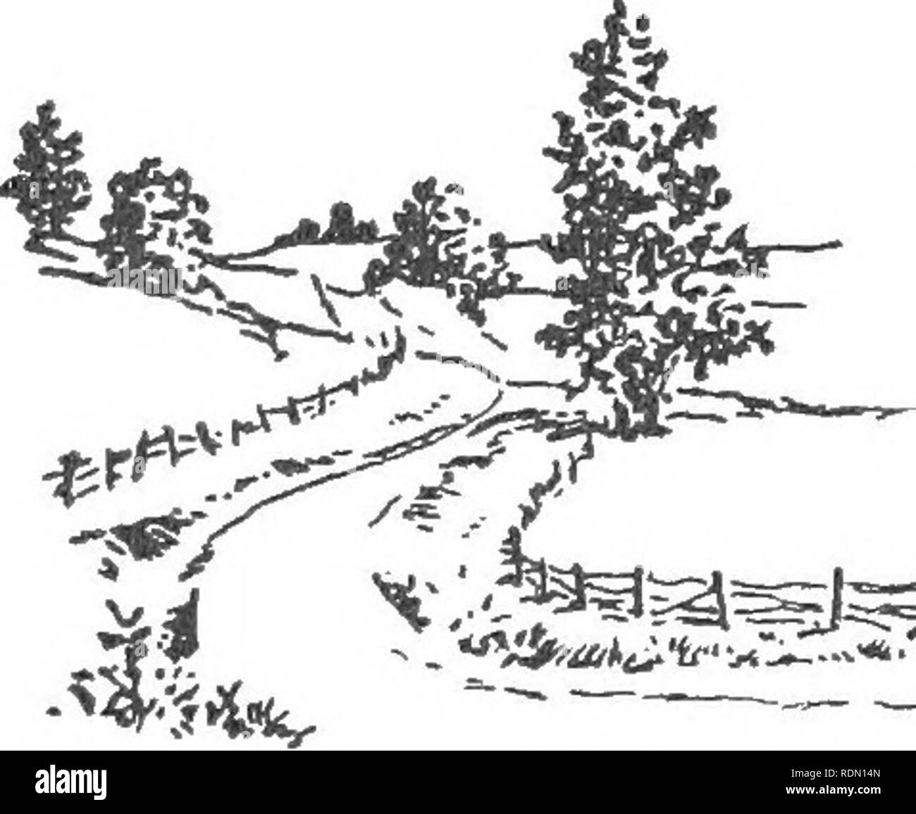 . L'ensemencement et de soins de golf. Parcours de golf ; les herbes. O. M. Scott &AMP ; Sorjs Co., Marysville, Ohio LA GRAINE LIT cr'nE haut-sol ainsi formé doit être ratissé et roula jusqu'^ la partie supérieure" dans laquelle le jeune plante de son départ est aussi fine que la cendre. Il doit être moelleux, mais fermement en la roulant. Les deux tableaux de roulement révèle des inégalités de la surface facilement ajusté en fonction de l'utilisation du râteau. Ce matériel roulant fait un lit de semence ferme et permet à la solution du sol, contenant disponibles aliments végétaux, d'être élevé par capillarité. Si la capillarité fait défaut, les aliments végétaux sont transportés vers le bas par t Banque D'Images