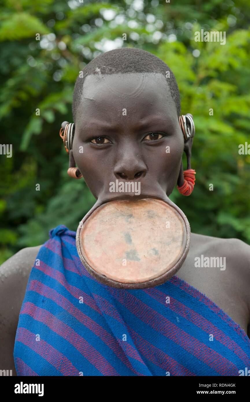 Femme Surma avec la lèvre plate, Tulgit, vallée de la rivière Omo, en Ethiopie, l'Afrique Banque D'Images