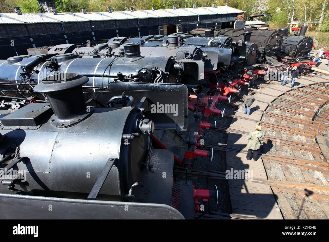 Festival de la Locomotive à vapeur, musée ferroviaire, Dahlhausen, Bochum, Rhénanie du Nord-Westphalie Banque D'Images