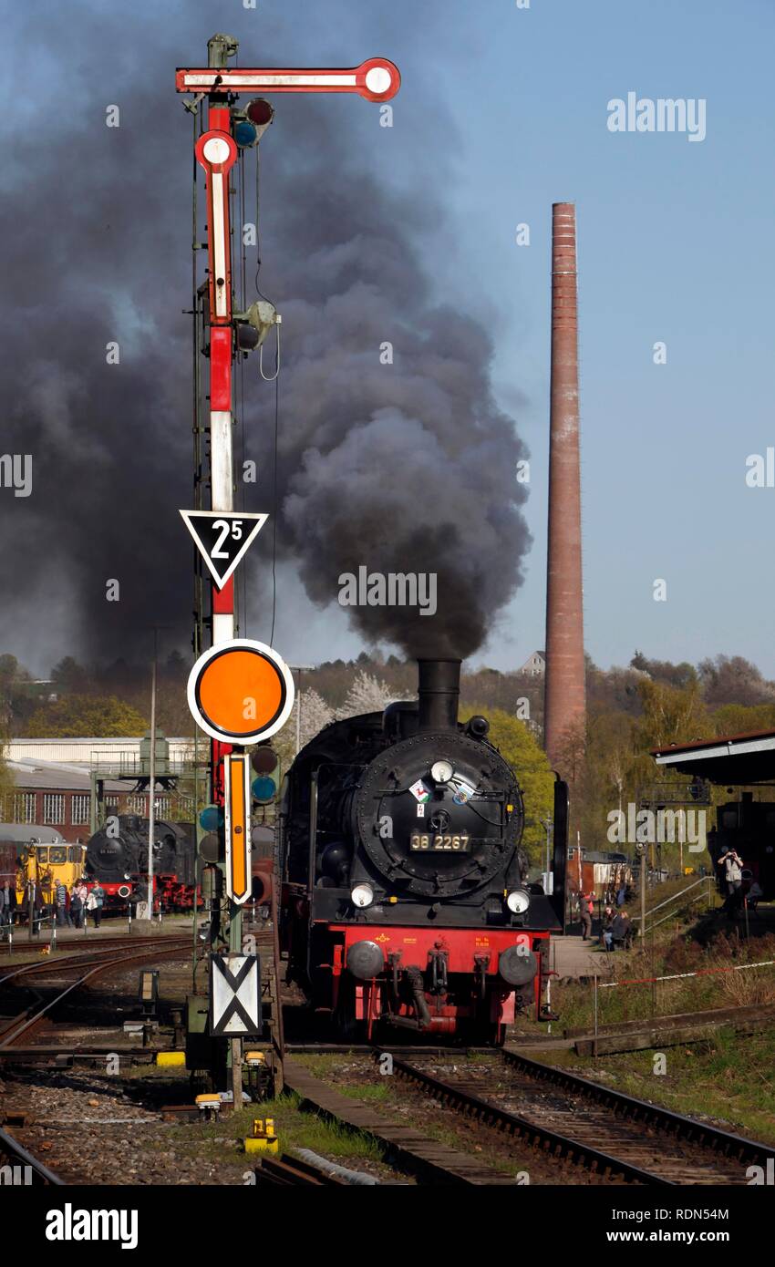Festival de la Locomotive à vapeur, musée ferroviaire, Dahlhausen, Bochum, Rhénanie du Nord-Westphalie Banque D'Images