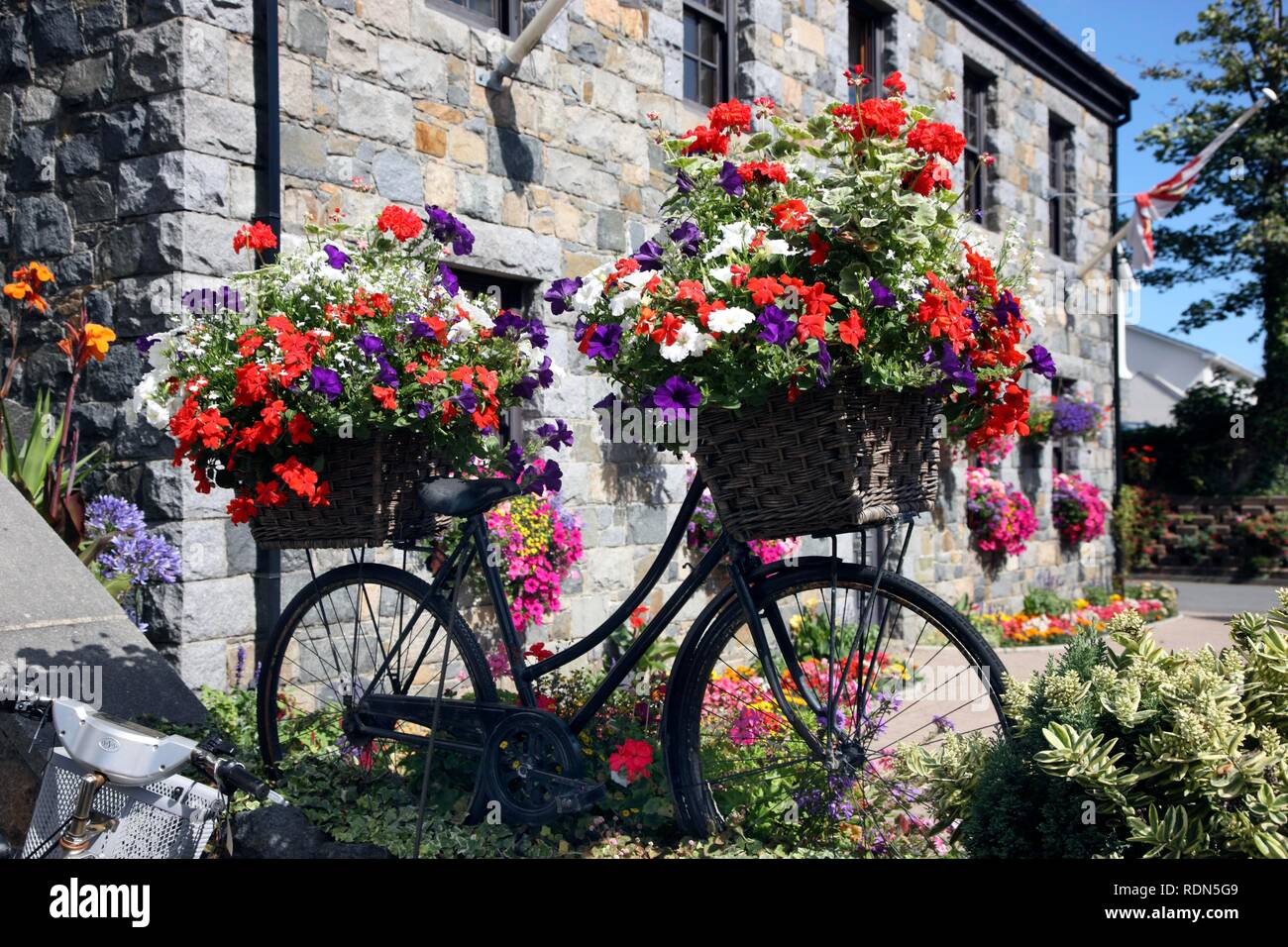 Décoration florale d'un magasin de vélos, Guernsey, Channel Islands, Europe Banque D'Images