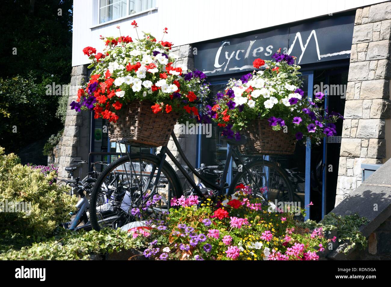 Décoration florale d'un magasin de vélos, Guernsey, Channel Islands, Europe Banque D'Images