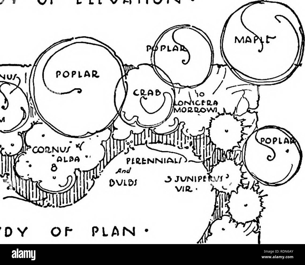 . Manuel de jardinage paysage, conçu spécialement pour l'utilisation de non-professionnels et étudiants. Paysagiste. VlBUilNUM PttlNNlAL, /J/ ^nS. TVDY^ /0 PLAN • Fig. 132. Étude pour une frontière mixtes 4. Des couleurs vives devrait apparaître dans les masses contre la position neutre ou plus sombre. 5. Les plantes très raffinée avec de jolies fleurs et feuilles délicates doivent être placés en premier plan ; celles de texture grossière à l'arrière-plan. 6. Pour mieux le soleil devrait tomber sur les points accentué, les ombres devraient tomber dans les espaces entre. En gros les ombres sont contrôlés par des évidements Banque D'Images