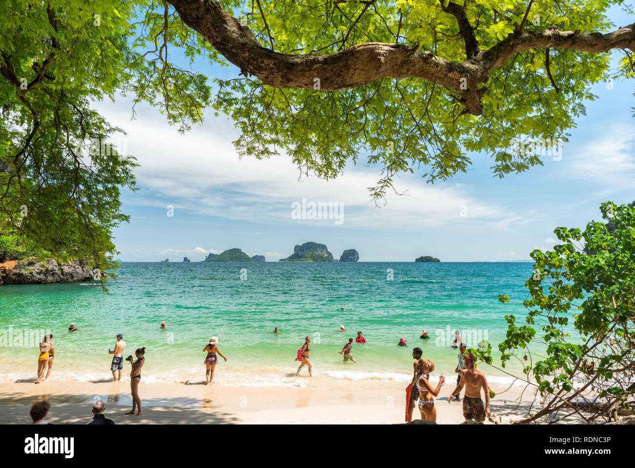 Railay, Thaïlande - 3 juillet 2018 : les touristes de nager dans la mer turquoise de l'eau (Phranang) Phra Nang Beach avec une énorme branche d'arbre au-dessus. Banque D'Images