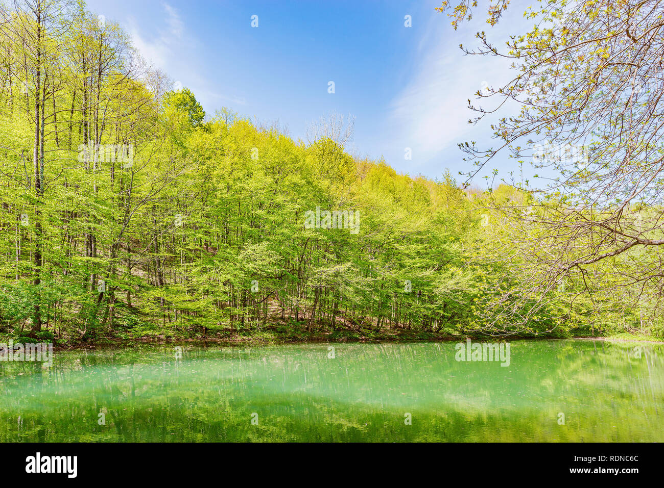 Petit lac de montagne dans la forêt, à printemps. Banque D'Images