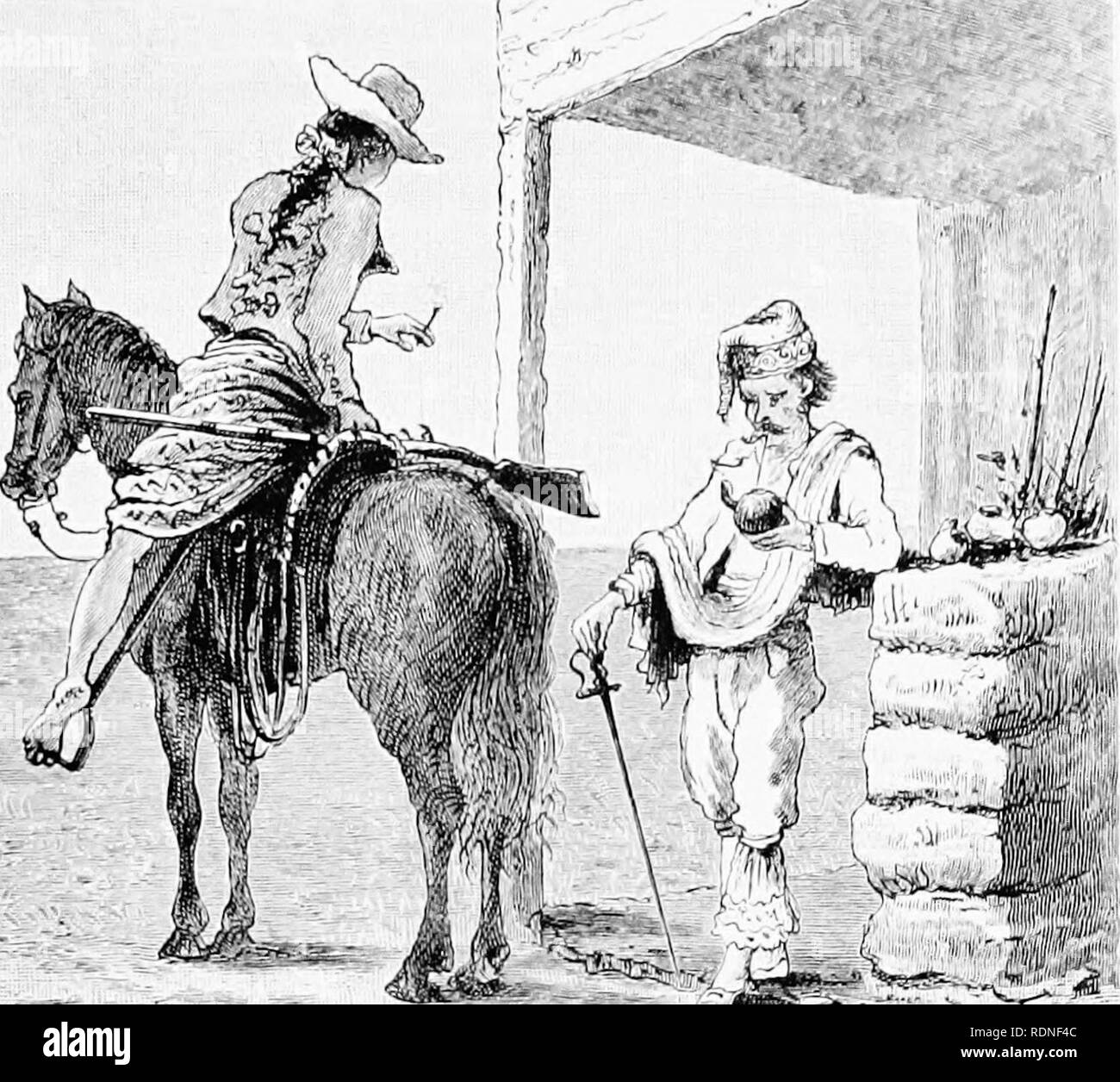 . Journal de recherches sur l'histoire naturelle et de géologie des pays visités au cours du voyage autour du monde de H.M.S. "Beagle" sous le commandement du Capitaine Fitz Roy, R.N. Expédition Beagle (1831-1836) ; l'histoire naturelle ; géologie ; voyages autour du monde. J^ -:F [RRrrA-LAR TROOl"^ CHAPTER V r.ElancaâGeologj âNumerous ahia'QuadruperKâRecent Elinction âLongevity gigantesque disparu d'SpeciesâLarge Animaux &lt;lo pas besoin d'un W-getatinn AfricaâSifjerian Sud â P'ossilsâl'v-o JstriehâI lahits d'espèces (de (.)ven- birdâArmadiUoesâ'Serpent enomous vous aura transformés, crapaud, Li-^ Banque D'Images