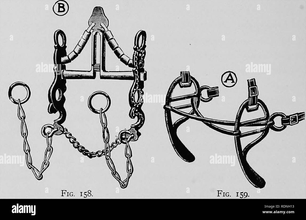 Spéculum Dentaire équin Millénaire – Bâillon Cheval Avec Plaques Et Sangles – Neuf