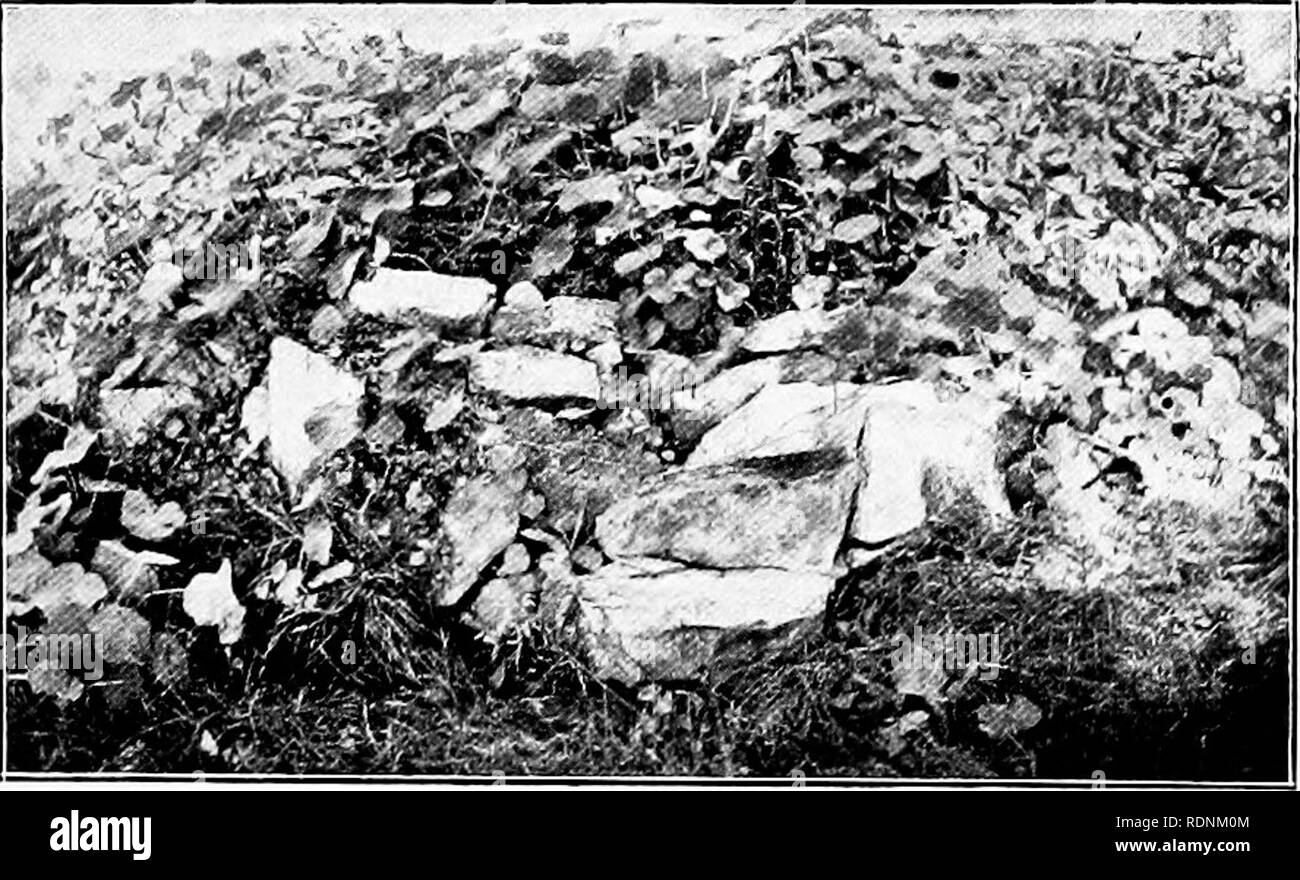 . Autour d'un ancien homestead ; un livre de souvenirs. Huston, Paul Griswold ; la vie à la ferme ; l'histoire naturelle. L'OT.D H0MESTP:AD. 21 sont toutes ses associations avec le temps d'il y a 60 ans. Il y a une atmosphère de l'âge à ce sujet ce qui le rend très agréable en ces temps de se précipiter à-jour. C'est comme un printemps tapissées de mousse à côté d'une route poussiéreuse. Nous pouvons le voir, à l'approche, par les sommets des sapins, ou le grand noyer noir par la porte. L'endroit est entouré de conifères et d'érables, et il y avait une grande pruche en même temps près d'une maison d'été- bowered dans roses. Deux énormes IMayduke sw Banque D'Images