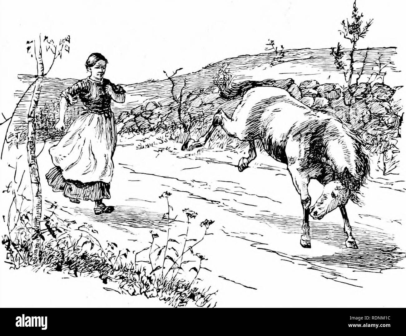. Quatre pieds, deux pieds, et pas de pieds ; ou, poilu et les animaux domestiques, et comment ils vivent. Le comportement animal. JACK-APPLE'S NEW HAT. 97 entendu leur demander, mais il pensait qu'il avait seulement pris ce qui appartenait à l'cheval. Elle attend de lui un peu comme Apple-Jack's net. Au cours de la journée, le cheval a été mangent de l'herbe dans la cour. Bridget, looMng hors de la fenêtre, a vu quelque chose sur sa tête qu'elle imaginait ressemblait à son torchon nouvelles. Elle regarda de nouveau. C'était très étrange. Puis elle alla à la porte pour voir plus clair. Oui, là c'Avas sur l'ancienne tête de cheval, - ses beaux, torchon qu'elle a été seulement Banque D'Images